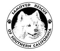Samoyed Rescue Of Southern California